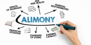 A visual representation of the Alimony Concept presented through a chart on a clean white background.