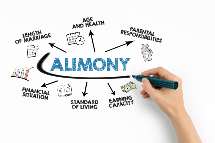 A visual representation of the Alimony Concept presented through a chart on a clean white background.