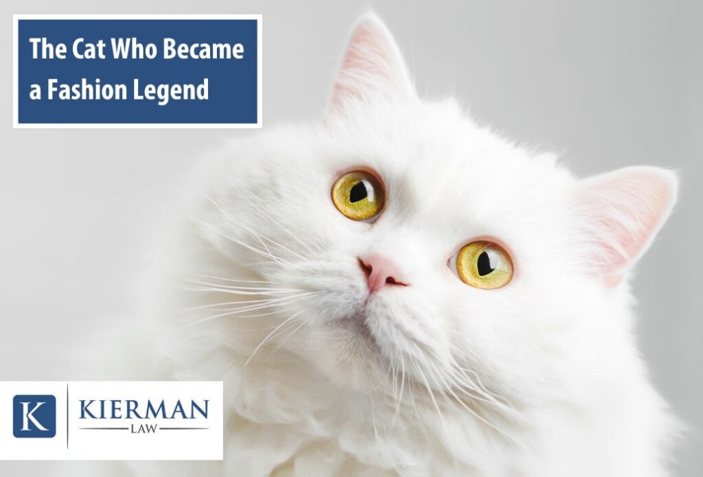 The Cat Who Became a Fashion Legend