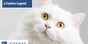 The Cat Who Became a Fashion Legend